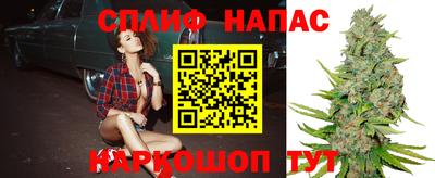 тгк Пенза